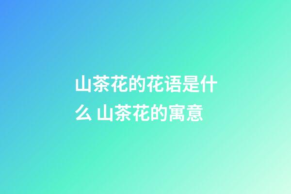 山茶花的花语是什么 山茶花的寓意